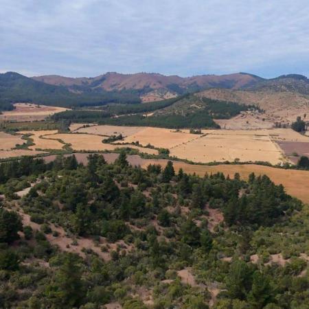 PARCELAS FUNDO LOS GUINDOS 5.000M2