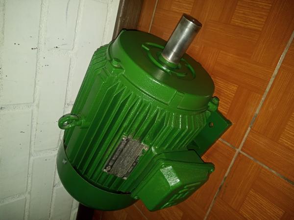 MOTOR TRIFASICO 10 HP.