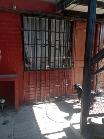 VENDO DEPTO SAN BERNARDO 