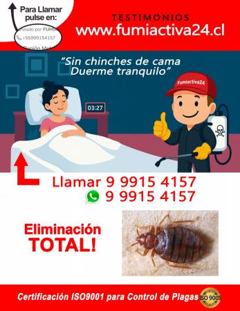 CONTROL PLAGAS CHINCHES EN SANTIAGO-24/7
