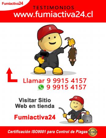 ELIMINAR CHINCHES EN LAS CONDES-24/7