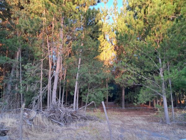 VENDO PARCELA 5000 M2