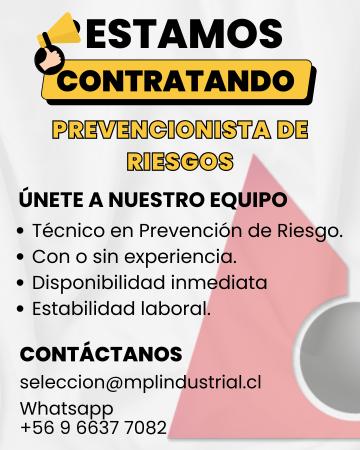 TÉCNICO PREVENCIONISTAS DE RIESGOS