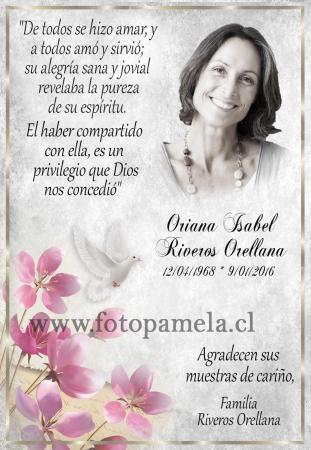 vitrina