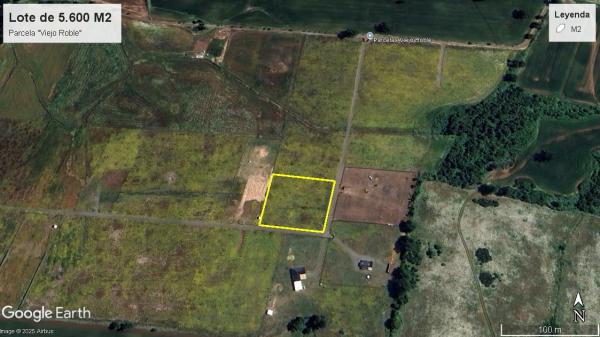 5.600 M2, ?VIEJO ROBLE?, LAUTARO 