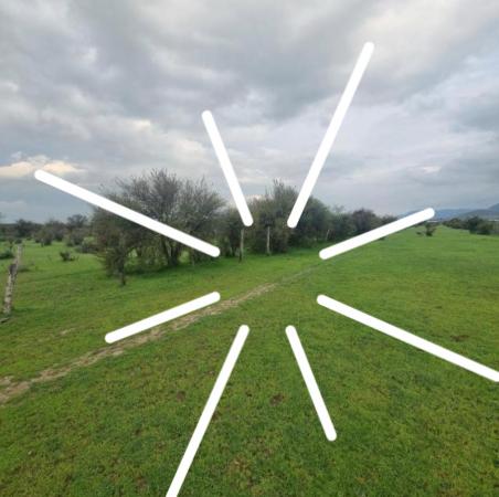 vitrina