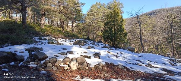 LOTE DE 5.000 M2, CHILLAN