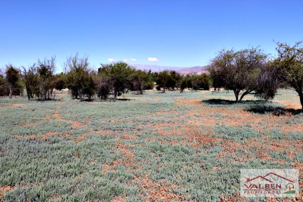 VENTA DE PARCELA EN BATUCO