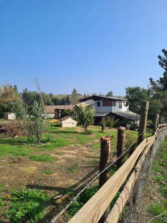 vitrina