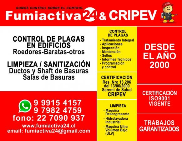 vitrina