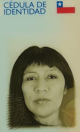 vitrina