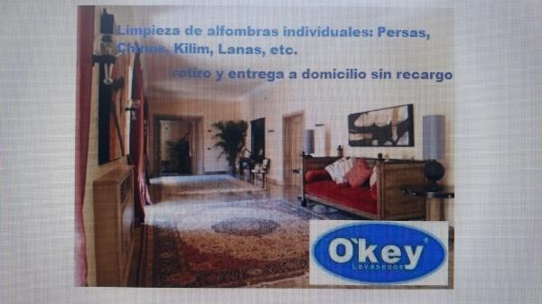 Okey Lavasecos 