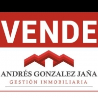 ANDRES GONZALEZ JAÑA