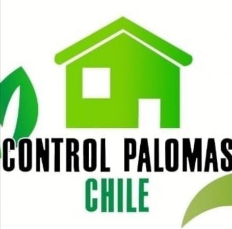 CONTROL PALOMAS CHILE